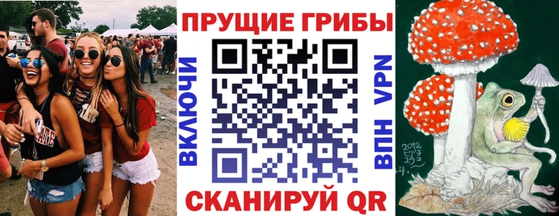 Псилоцибиновые грибы Magic Shrooms  Купить где  Ахтубинск 